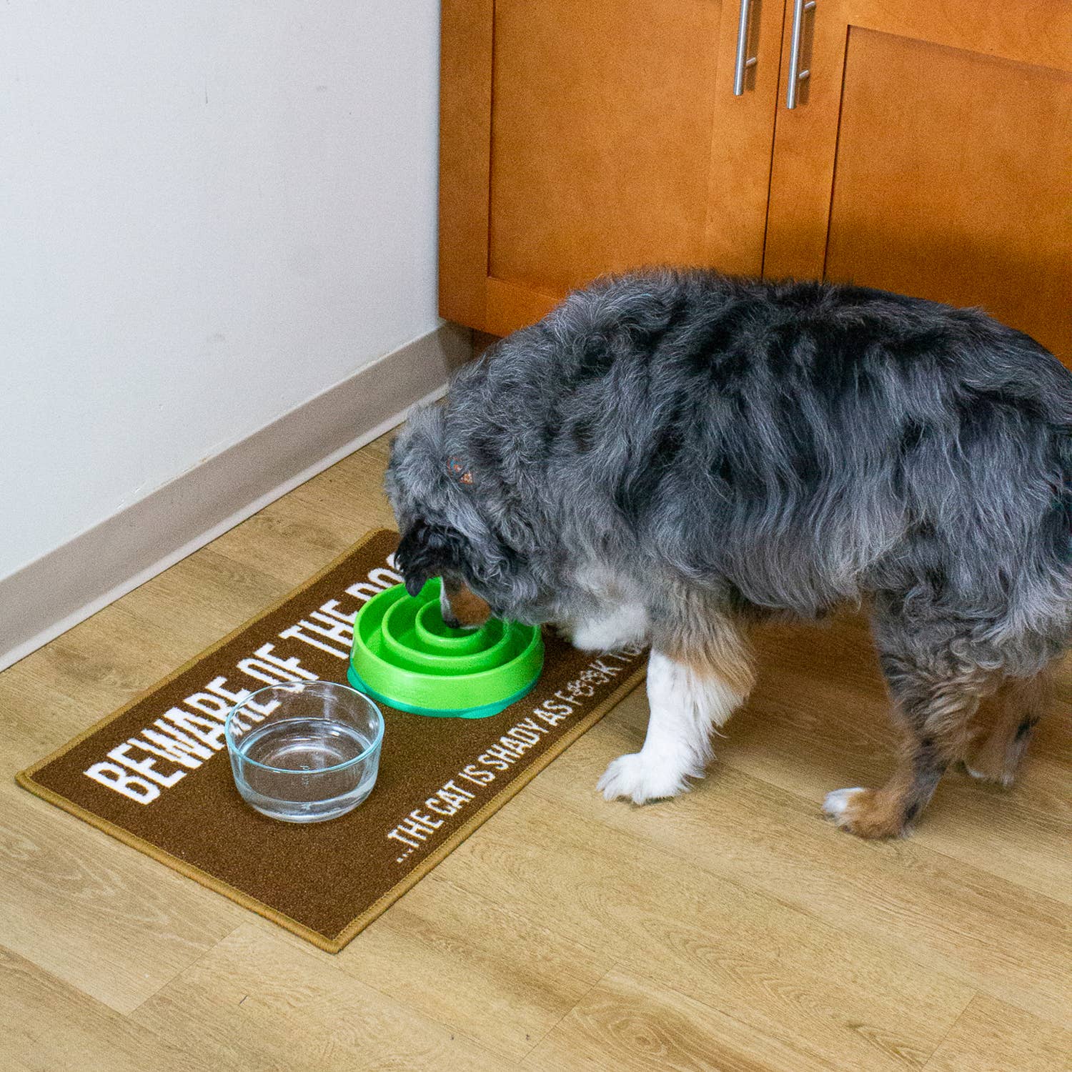 Arkwright Home - Wholesale Pet Food Mat - Dog - Pet Food Bowl Mat (16x24) Funny & Crude "Beware" Design3