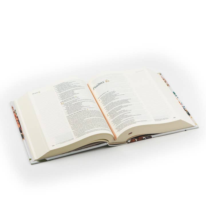 Hosanna Revival - Vendita all'ingrosso Libro di religione - Bibbia per prendere appunti NLT: tema di Madrid5