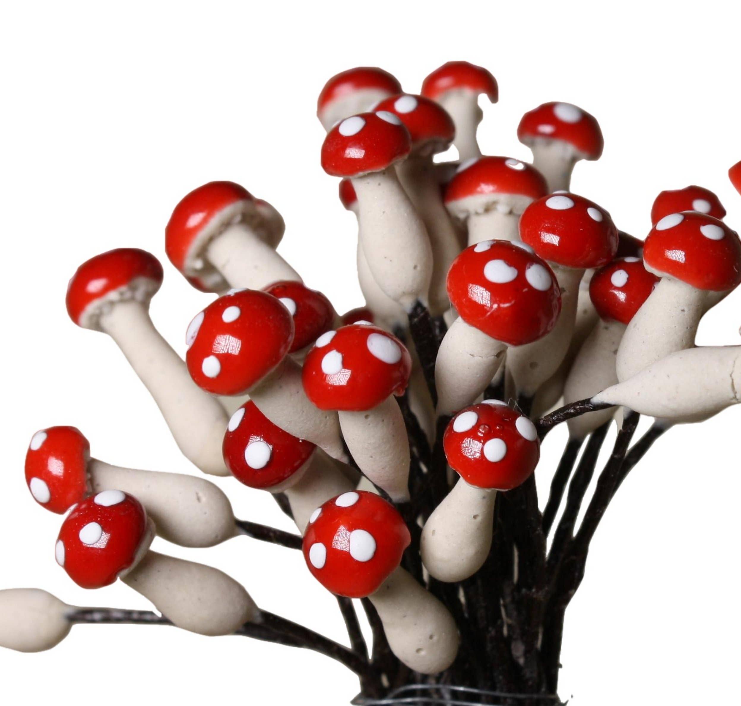 mélanger Champignons en plâtre rouge, 1/4 po, double tête, 35 pièces 218-0166 en vente sur Faire6