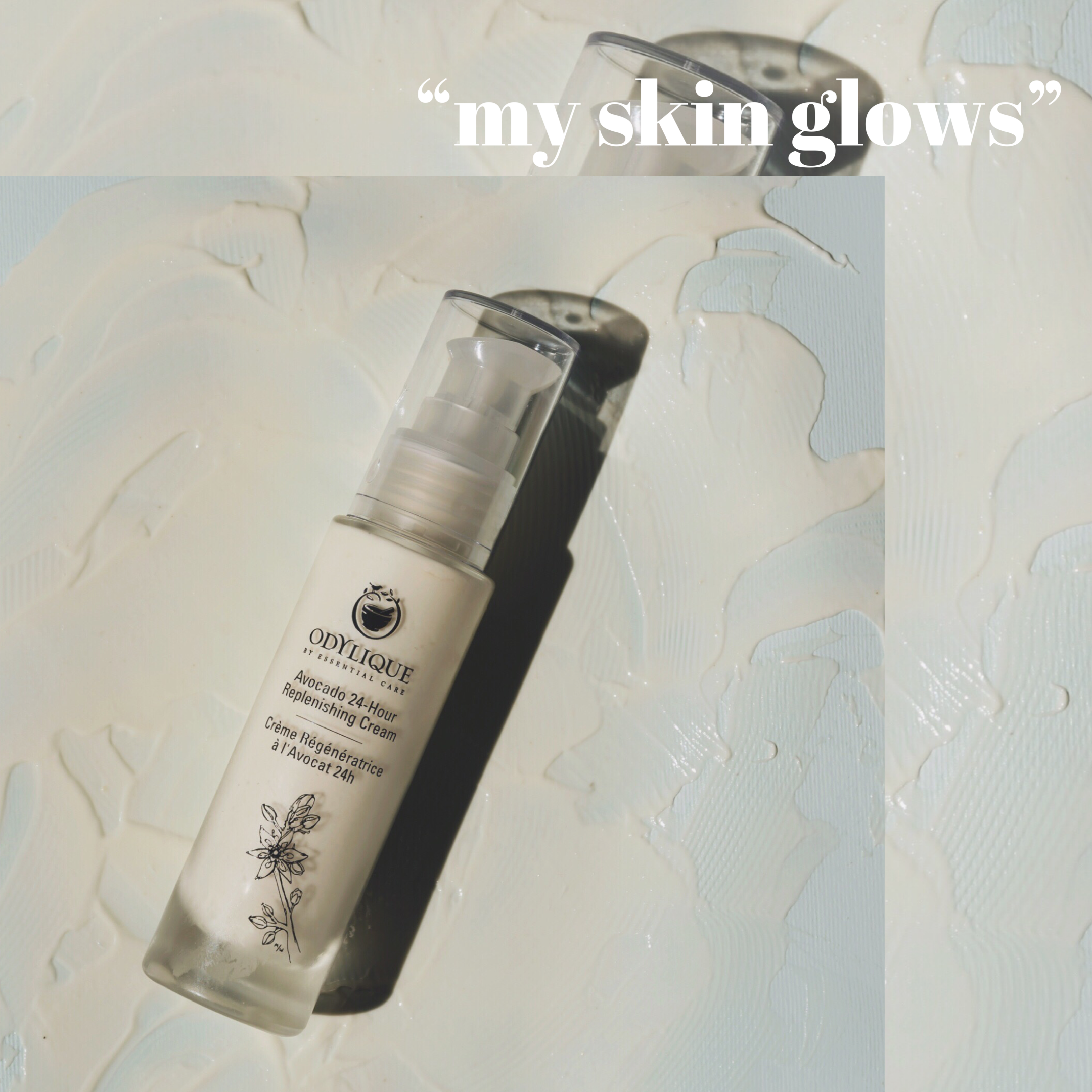 Odylique - Vente Crème hydratante pour le visage - Crème régénérante 24H à l'avocat3