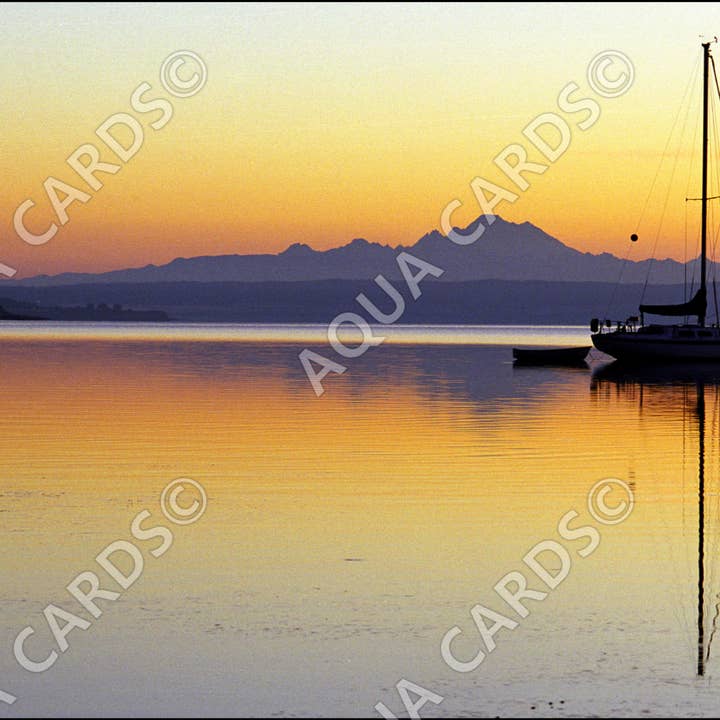 1024 - Anchored Under The Cascades for wholesale by Aqua Cards