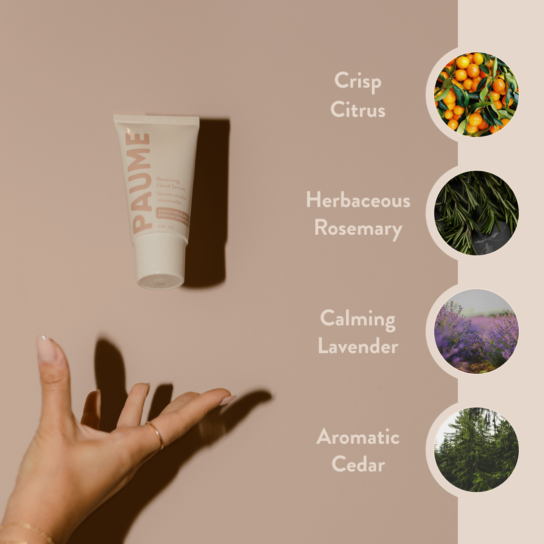 PAUME - Wholesale Hand Cream/Lotion - Renewing Hand Serum7