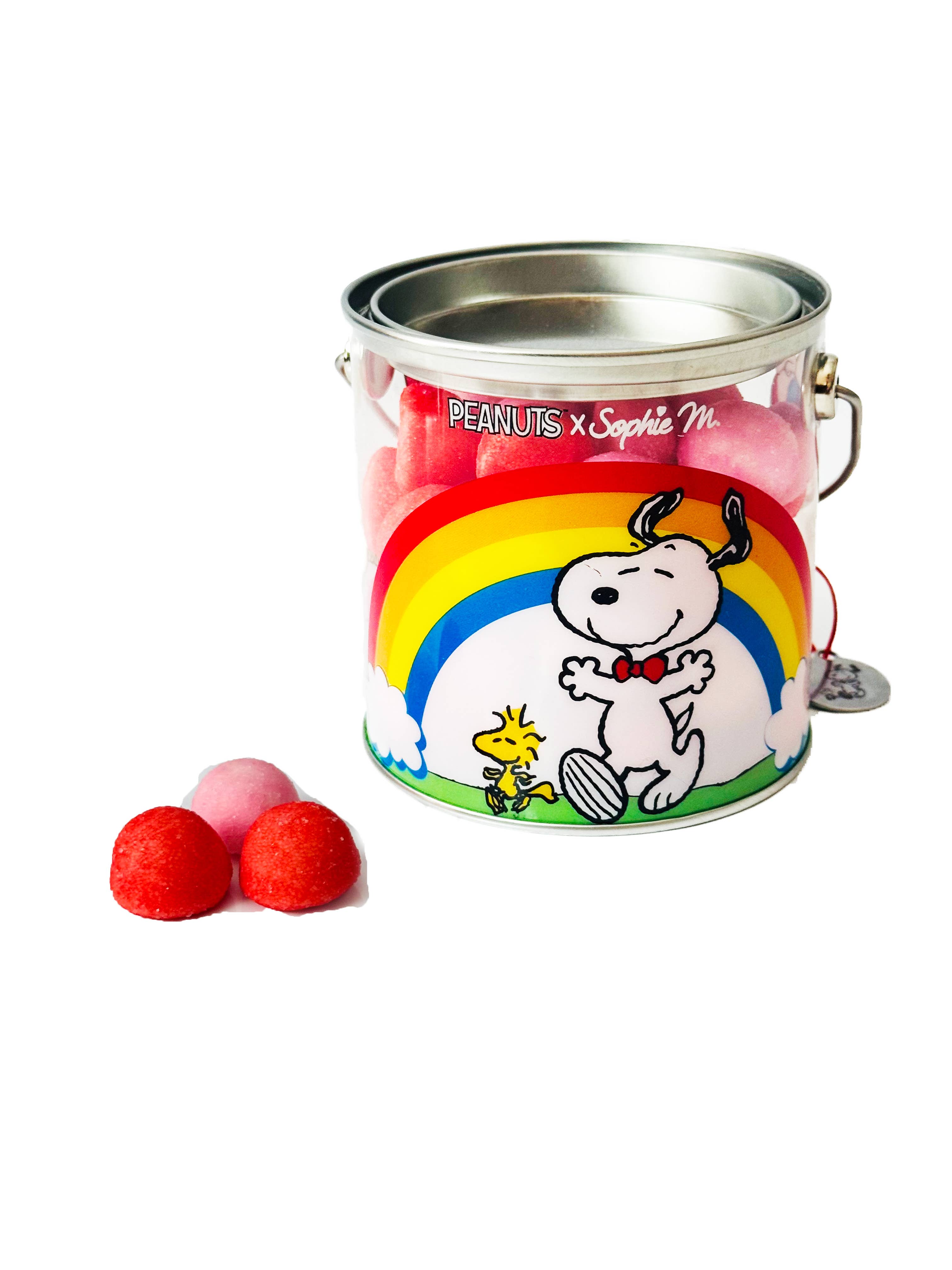 TASTY FRANCE – Großhandel Cookie – Peanuts Snoopy ERDBEERKORB 175g0