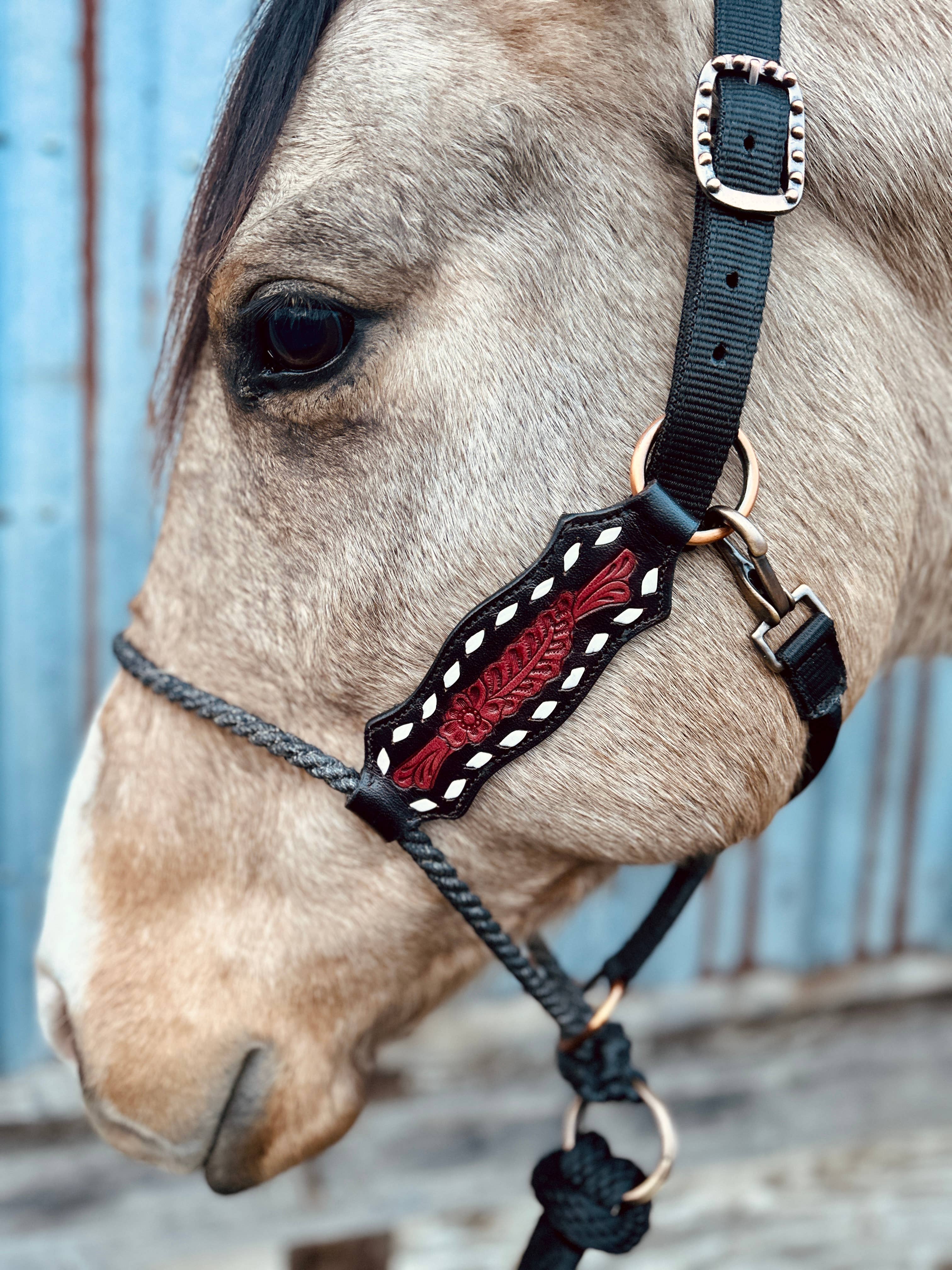 Schulz Equine - Wholesale Horseback Riding Gear - Lariat Nose Halter0