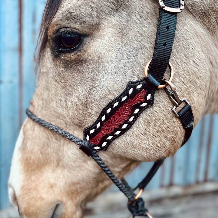 Schulz Equine - Wholesale Horseback Riding Gear - Lariat Nose Halter4