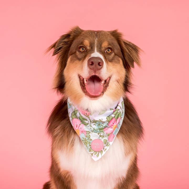 Flora & Fern: Dog Bandana for wholesale by Pablo & Co. Boutique