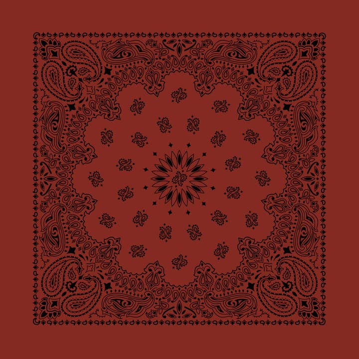Bandanna - 22" MADE IN USA - Contemporary Terracotta Paisley for wholesale by The Bandanna Company