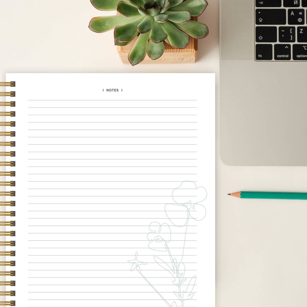 Spiral Bible - Vente Livre sur la religion - La Bible en un an : étude spirituelle sur 52 semaines6