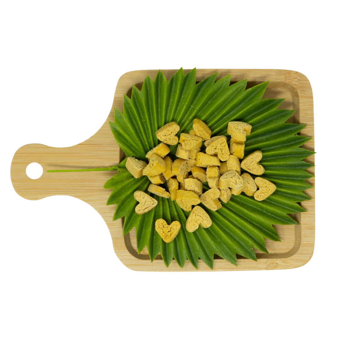 No Furries Delights - Wholesale Pet Supplement - Not Cat/Dog - Pumpkin Bites (50g | 1.76oz)1