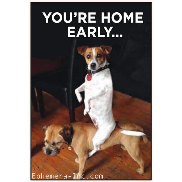 Ephemera - Wholesale Magnet - Magnet-You're home early …
