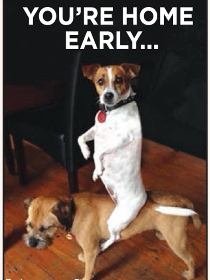 Magnet-You're home early … for wholesale by Ephemera