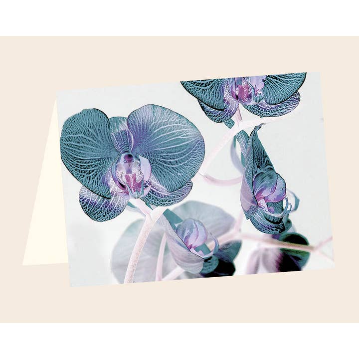 Orkidé ENCL nr.16 för wholesale av Line Five Studio