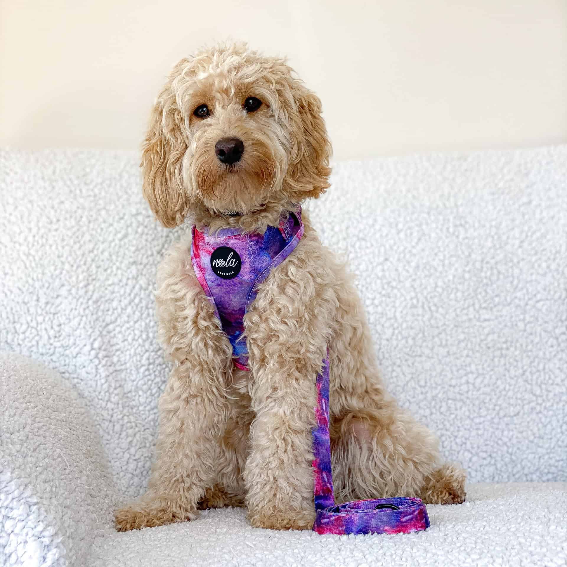 Love Nala - Vente Harnais – chien - Collection Nala Loves - Harnais Nala2