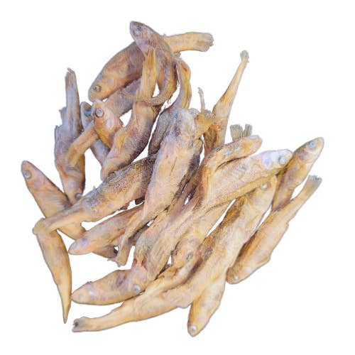 Raw Dog Barkery - Wholesale Pet Treats - Dog - Minnows Freeze Dried 1oz1