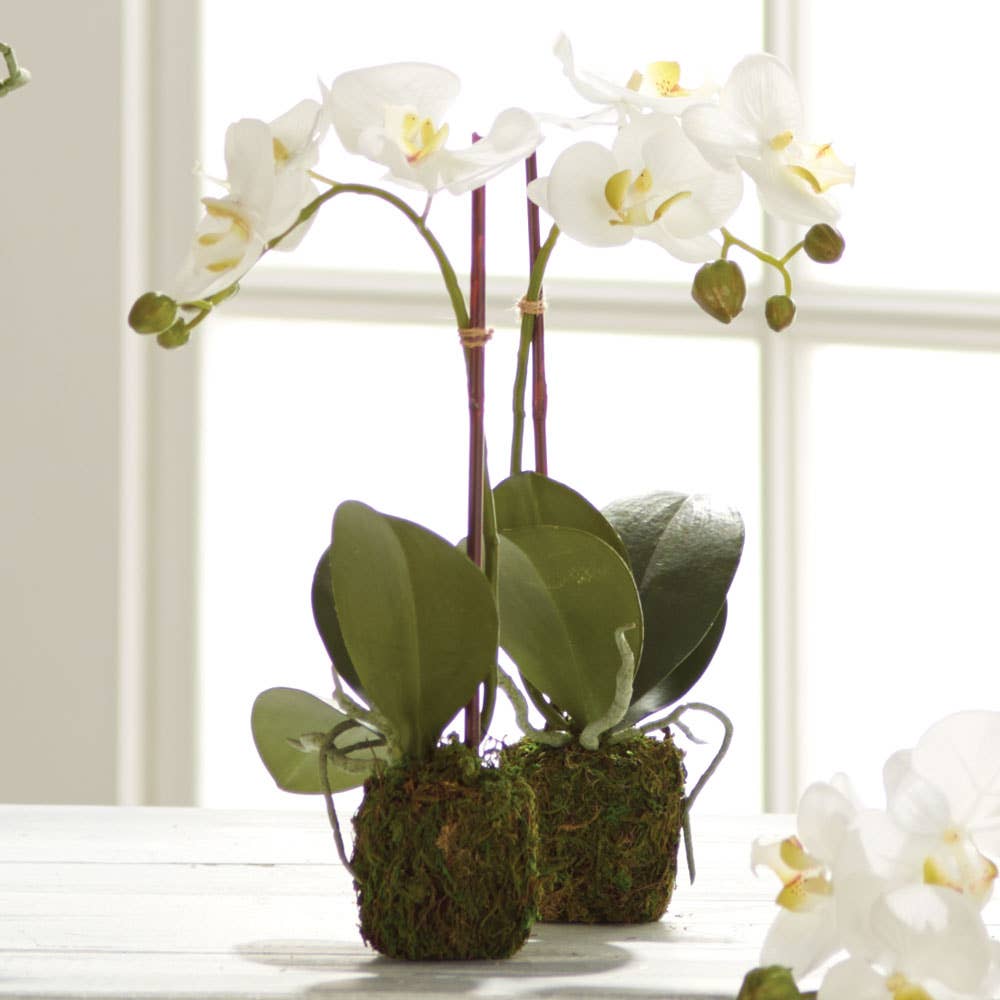 Napa Home & Garden - Wholesale Artificial Flowers - Phalaenopsis Orchid Drop-In 15"1