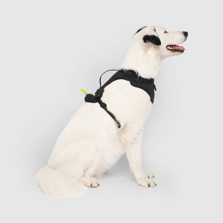Canada Pooch - Wholesale Pet Harness - Dog - Everything Neoprene Harness- Dog Harness1