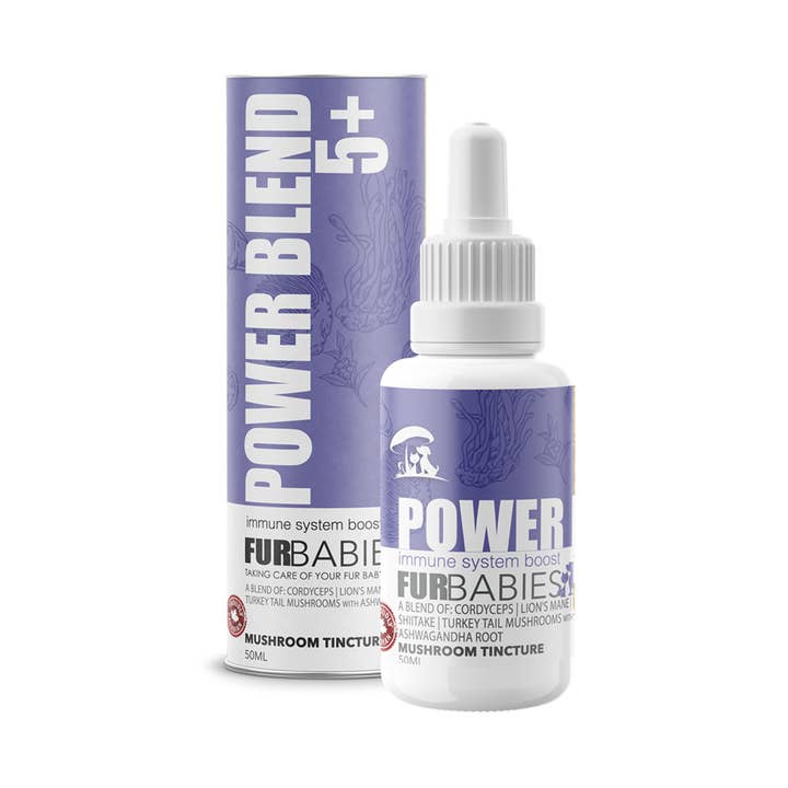 Power Blend 5+ Mushroom Oral Drops 50mL bottle for wholesale by FurBabies Pet Products