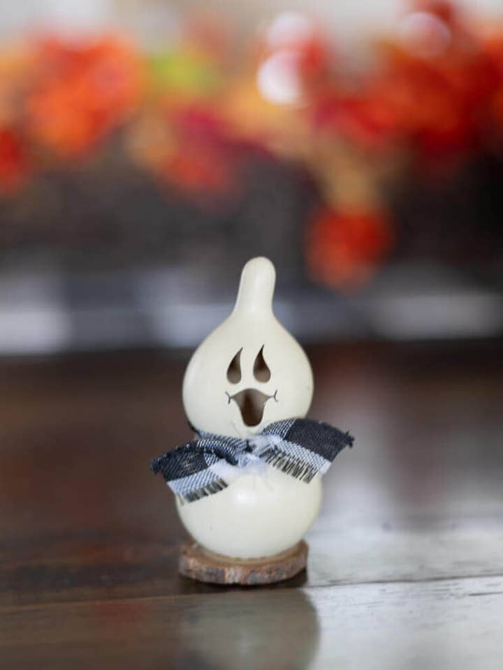 Lil Jake Short- Pack of 5 for wholesale by Meadowbrooke Gourds