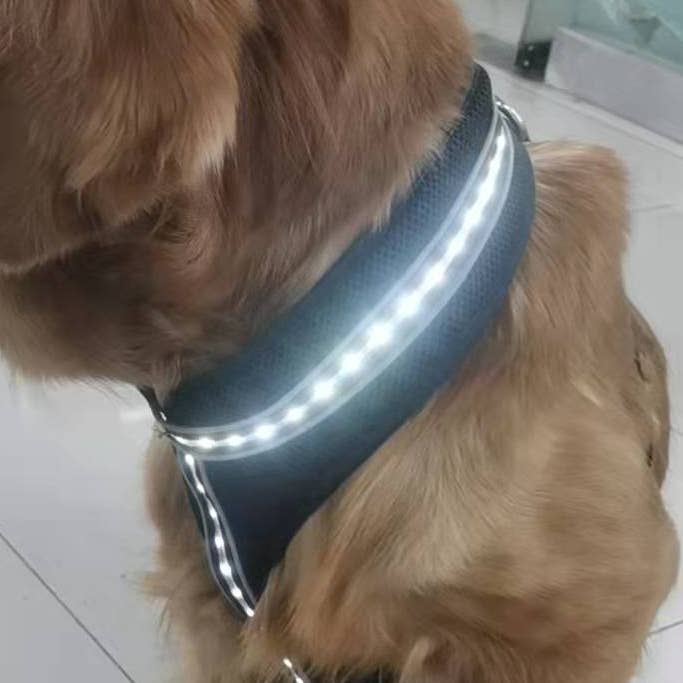 DC's LED's - Wholesale Pet Collar - Dog - Pet Flashlight0