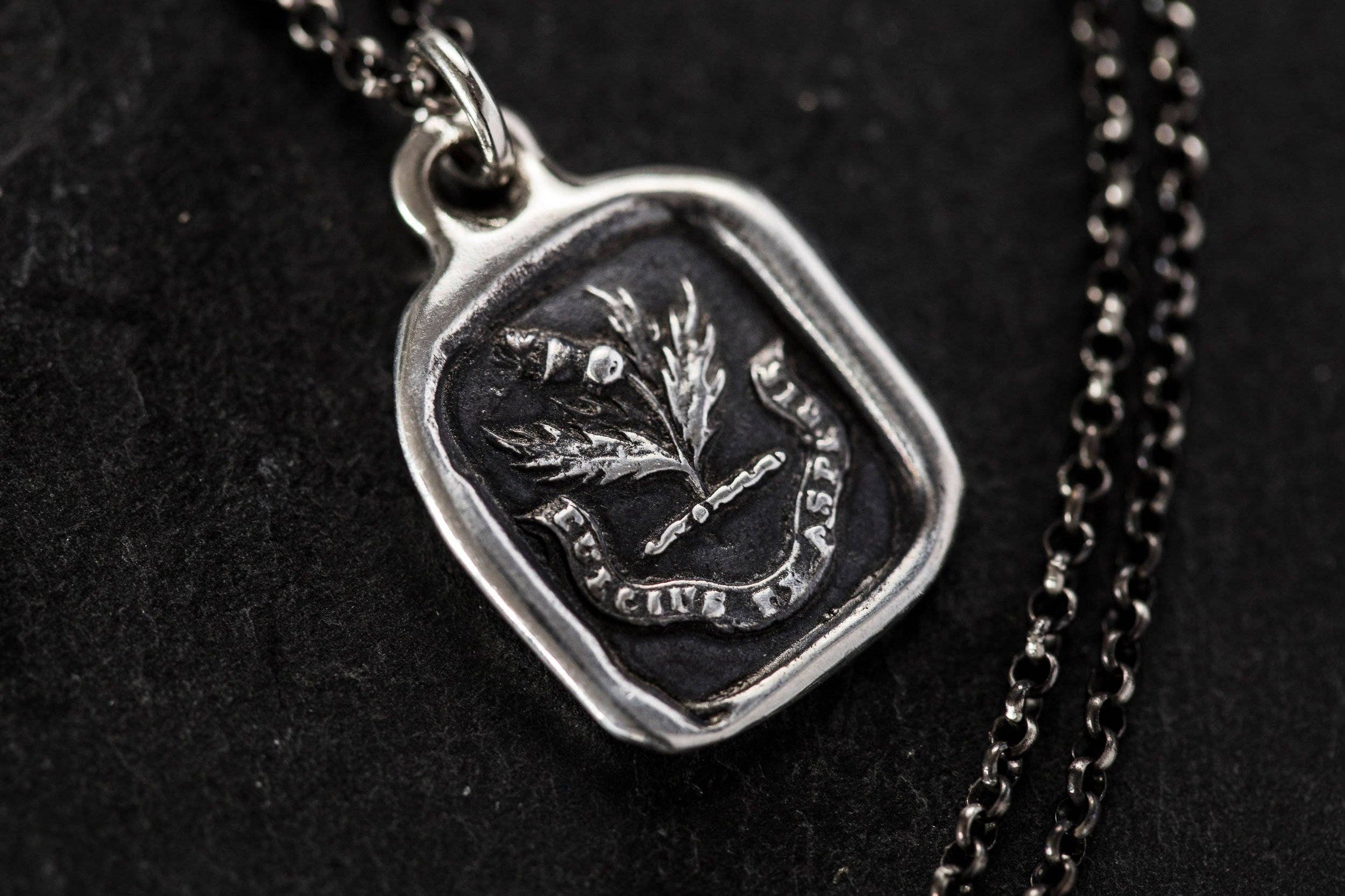 Plum and Posey - Wholesale Pendant/Charm Necklace - Sweeter After Difficulties Thistle Necklace4