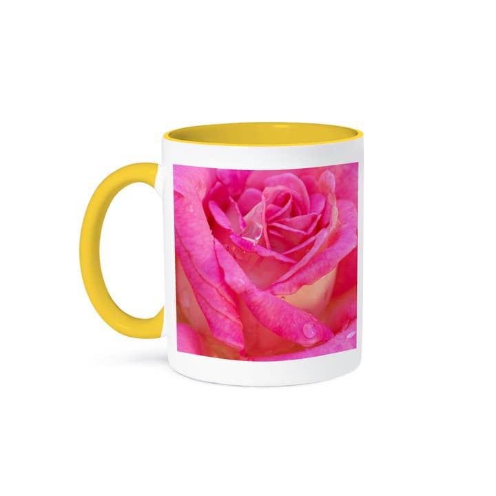 3dRose - Wholesale Coffee Mug - 3dRose, USA, Georgia, Savannah. Closeup of pink rose with water droplets, Mug