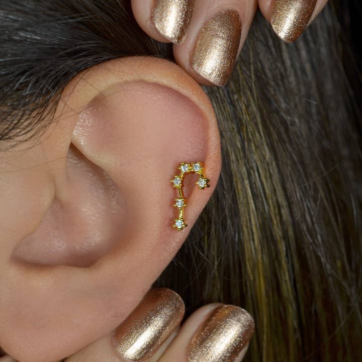 StockJWL - Wholesale Stud/Post Earrings - 12 Zodiac Earrings, Constellation Stud Earring Stud Piercing Tragus Helix Lobe and Cartilage Silver And Gold21