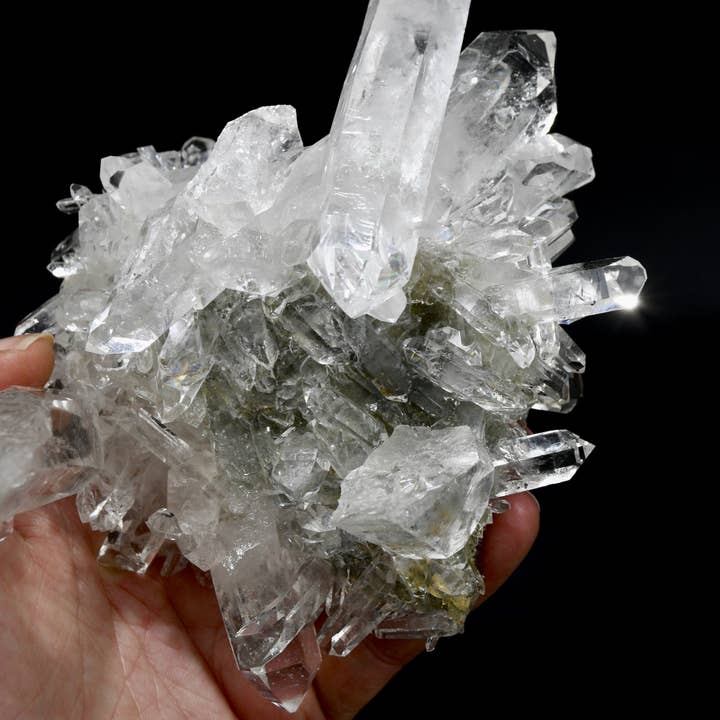 Caspar Curiosities - Wholesale Spiritual Stone/Crystal - 5.9in 1.3lb Cosmic Starburst Record Keeper Lemurian Silver Quartz Chlorite Crystal Cluster Starbrary Optical Corinto, Brazil9