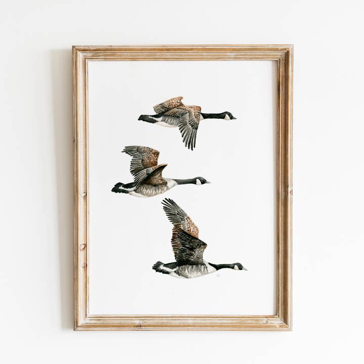 Impression à l'aquarelle d'oies pour la vente par Sarah Jane Studio Art