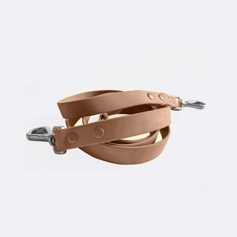 Come Here Buddy - Wholesale Pet Leash - Dog - Dog Leash12