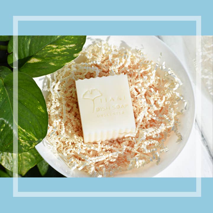 Solid Dish Soap: Unscented for wholesale by Tiani Body Care