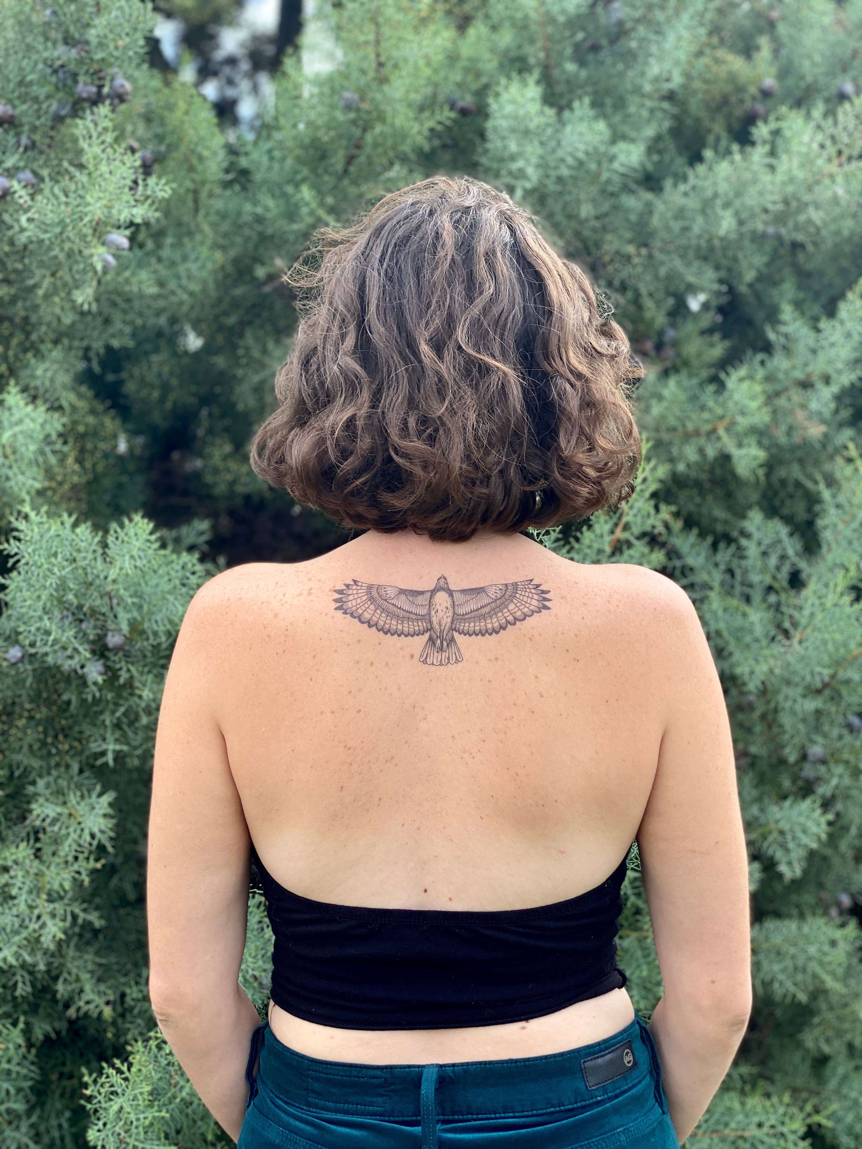 Timeless Bird Tattoos: Are They Meaningful?