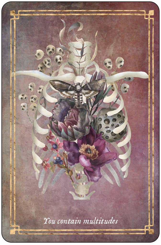 Red Wheel/Weiser LLC - Wholesale Tarot Cards - Memento Mori: 36 Mini Affirmation Cards to Embrace Life10