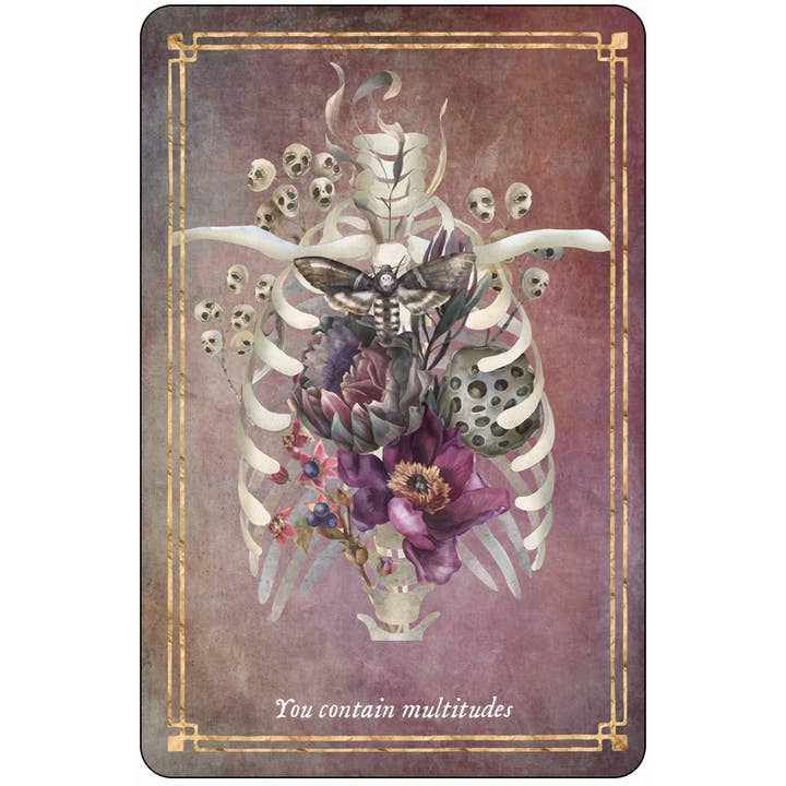 Red Wheel/Weiser LLC - Wholesale Tarot Cards - Memento Mori: 36 Mini Affirmation Cards to Embrace Life10
