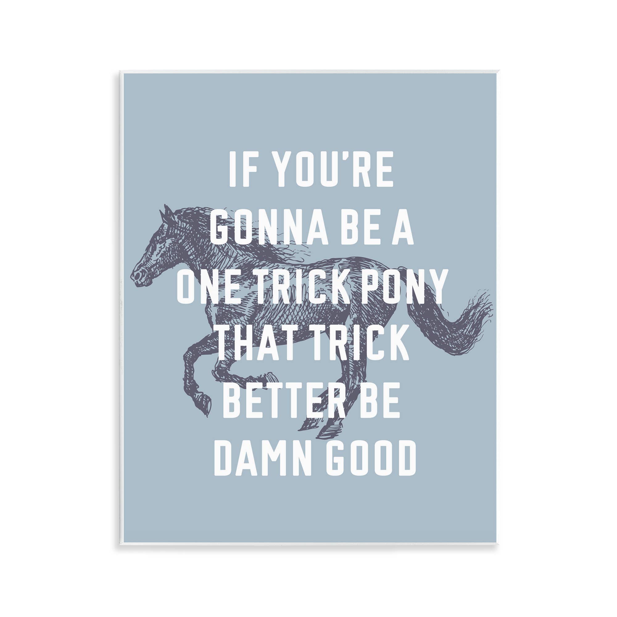 Stupell Industries - Wholesale Wall Decor - Kids & Baby - One Trick Pony Phrase Wall Plaque Art0