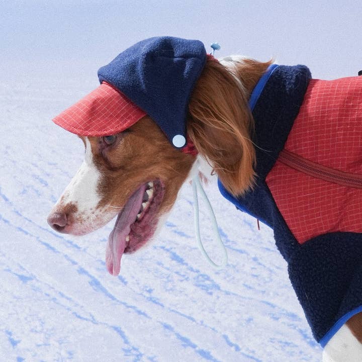 Puppy Gallery - Wholesale Pet Hat - Dog - Ear Cover Fleece Hat7