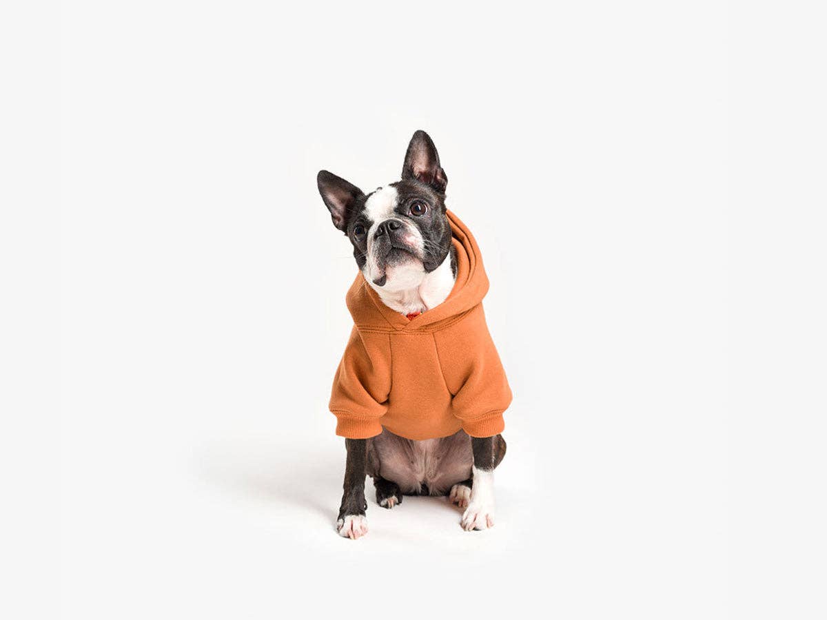 French Bandit - Wholesale Pet Hoodie - Dog - Hooded hoodies for dogs7