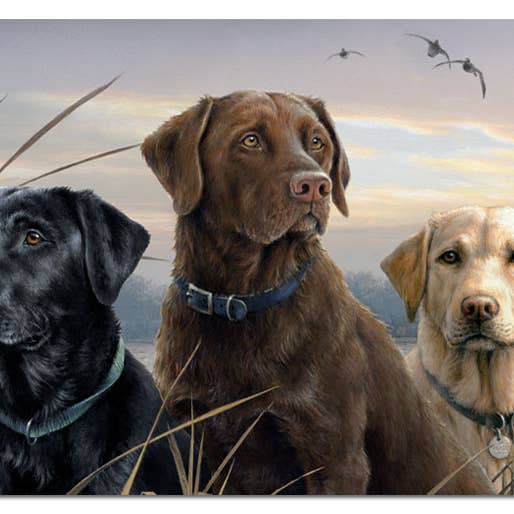 Conimar Promotions - Wholesale Disposable Placemat - Hunting Dogs 24 Sheet Premium Paper Placemats 0
