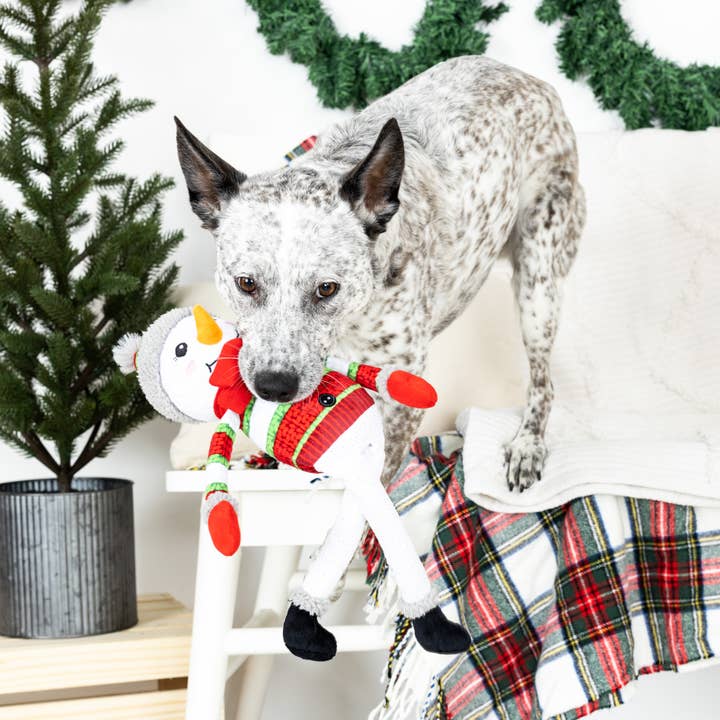 Petshop by Fringe Studio - Wholesale Pet Plush Toy - Dog - TOO CUTE TO CHILL PLUSH DOG TOY