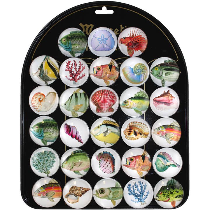 Fish, Shells & Coral Magnets with Display - CBG141W for wholesale by World Buyers