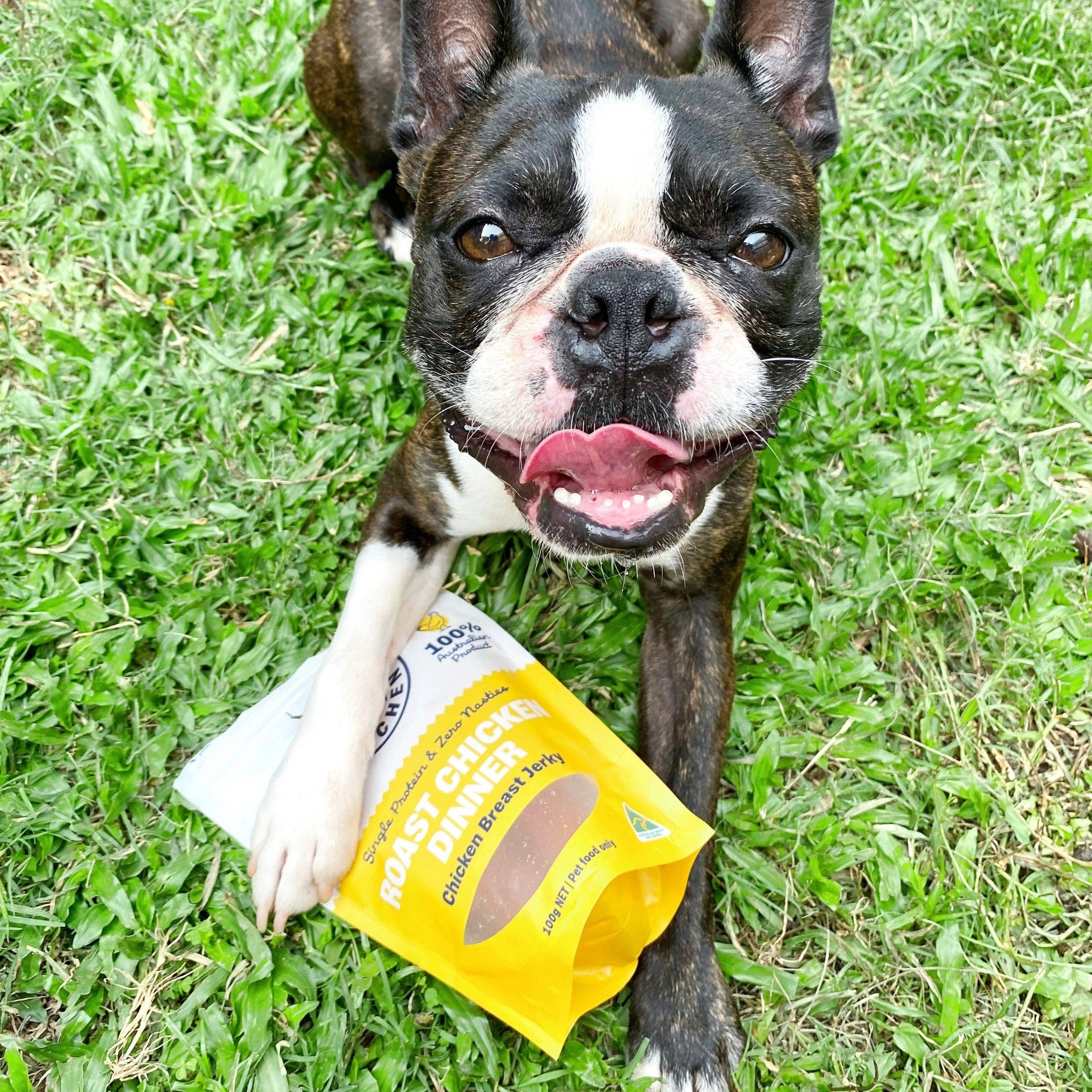 Rover Pet Products - Wholesale Pet Treats - Dog - Roast Chicken Dinner - Chicken Breast Jerky18