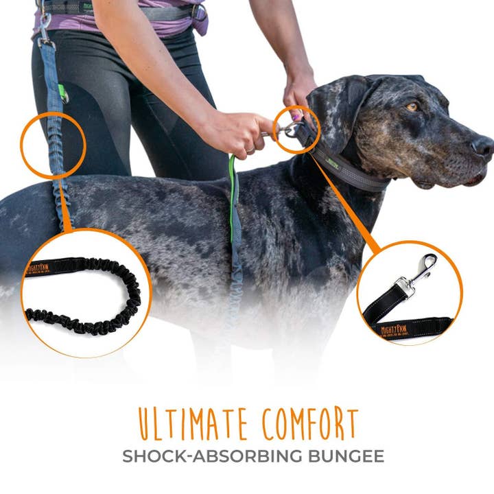 Mighty Paw - Wholesale Pet Leash - Dog - Hands Free Bungee Leash Set8