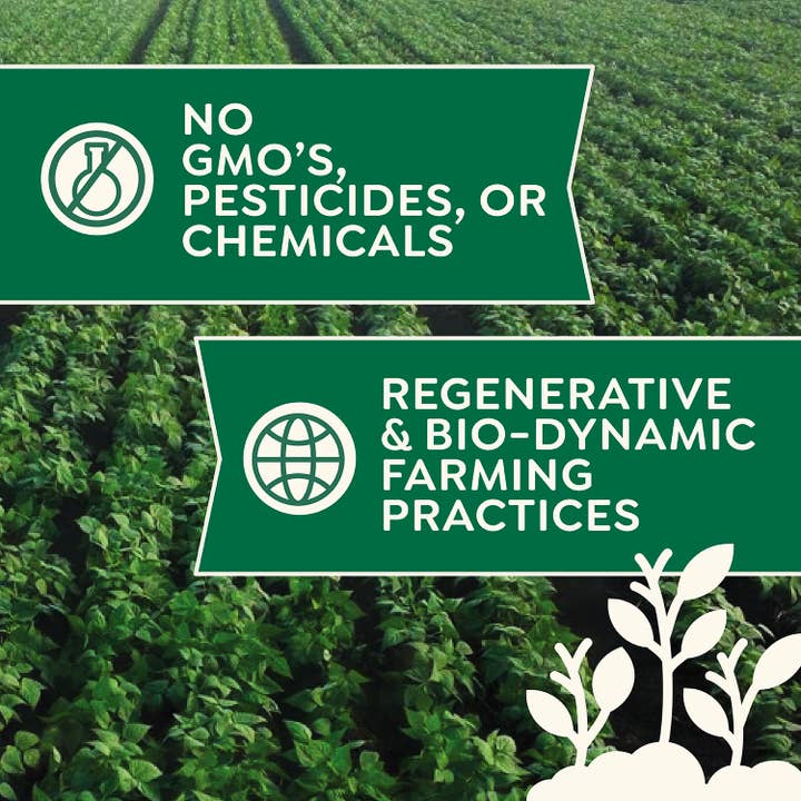 Doudlah Farms Organics - Wholesale Cornmeal - Organic Yellow Cornmeal4