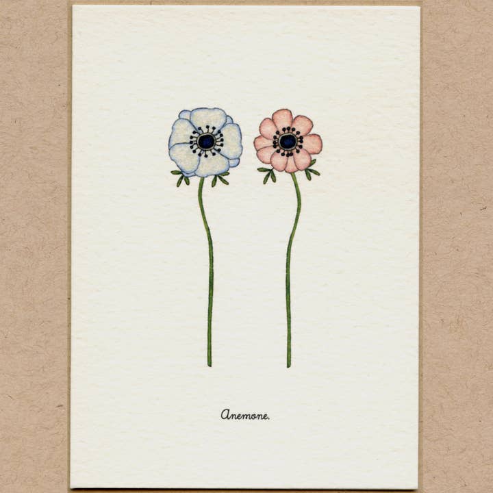 Beth Mueller - Wholesale Everyday Greeting Card - Flowers, Set 7 Boxed Greeting Cards3