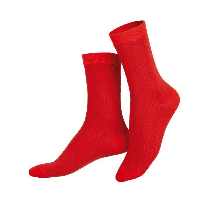 Until Pty Ltd - Wholesale Socks – Unisex - Eat My Socks Socks Hot Chorizo3