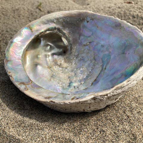 Willow+Wicker - Wholesale Jewelry Dish - Abalone Shell Jewelry/Smudging Dish3