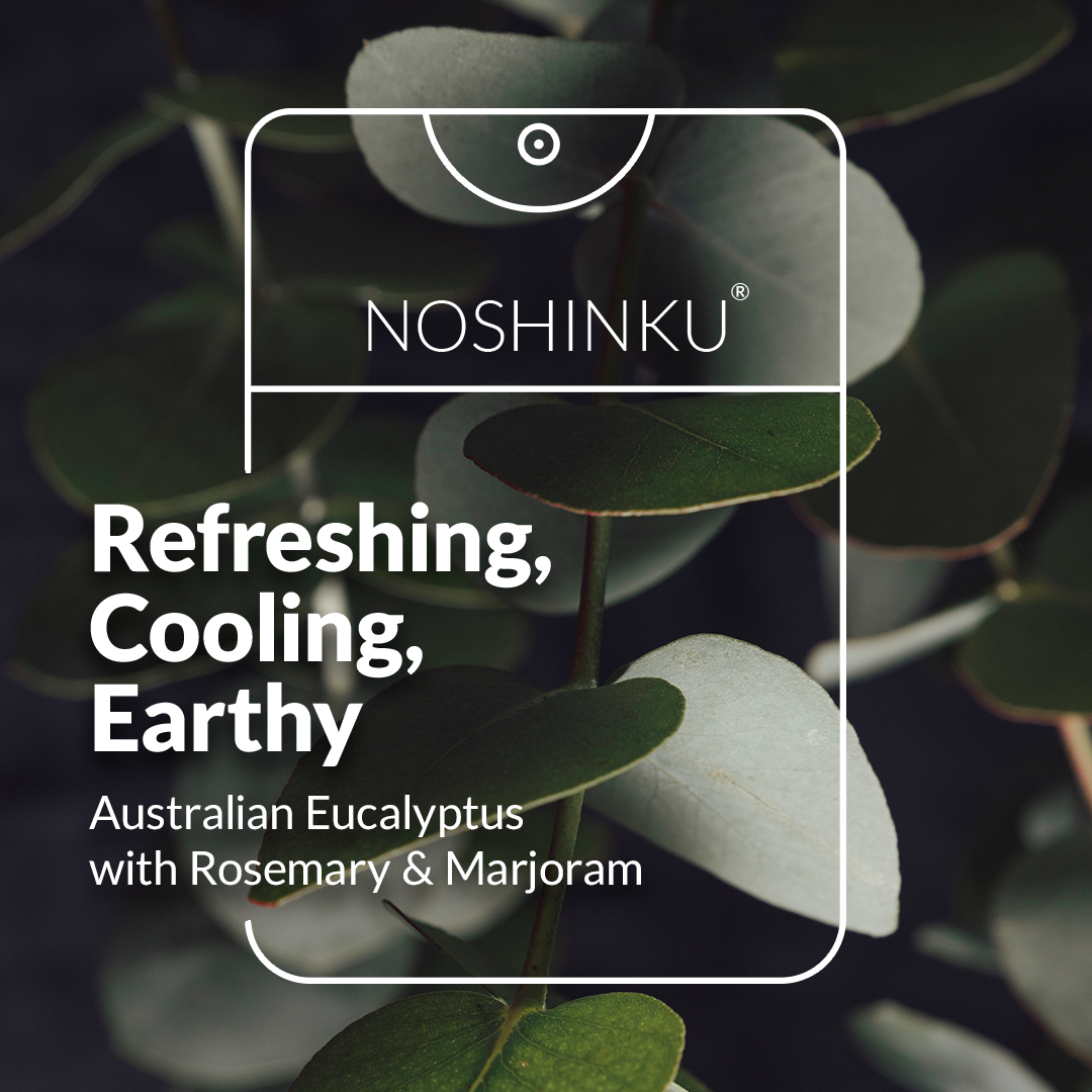 Noshinku - Wholesale Hand Sanitizer - REFILLABLE Eucalyptus Moisturizing Pocket Hand Sanitizer5