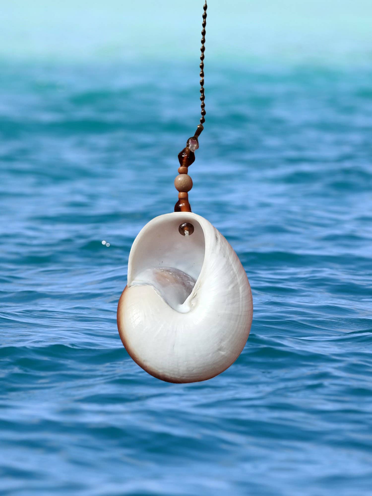 Shell We Sea Designs - Vente Décorations de table - Grand ventilateur en forme de coquillage, chaîne de plafond à tirer en forme de coquillage5