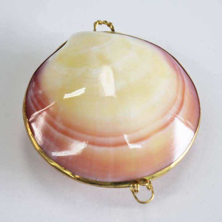 California Seashell Company - Wholesale Jewelry Dish - Polished Tigrina Clam Coin Purse - Shell Box0