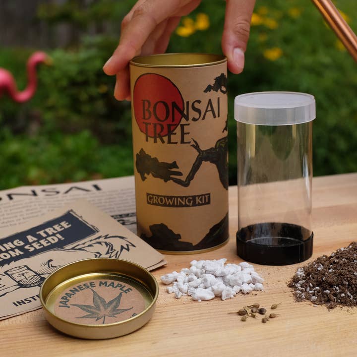 The Jonsteen Company - Vente Graines de plantes - Bonsaï Tree | Kit de culture de semences7