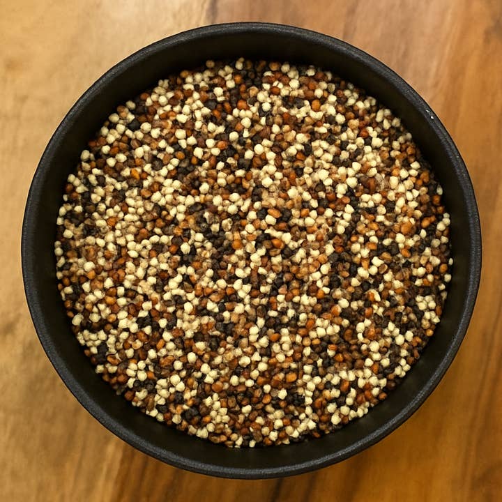 LA Herb - Wholesale Plant Seeds - Tri-Color Quinoa Seed Whole (Chenopodium Quinoa)